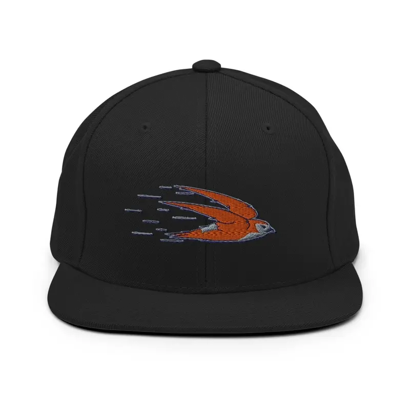 Rock Valley Swift Baseball Cap