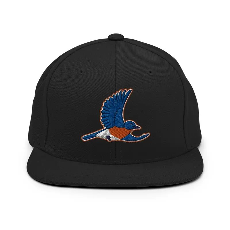 Bluebirds Baseball Cap