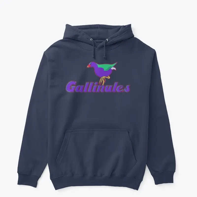 Bayview Gallinules Secondary