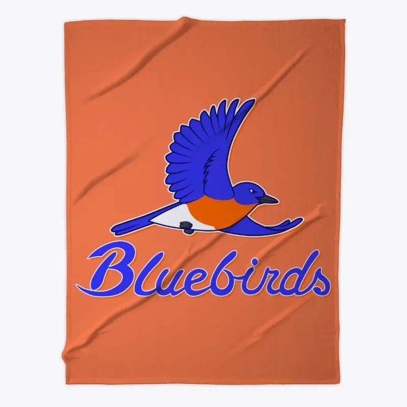 Bellville Bluebirds Secondary